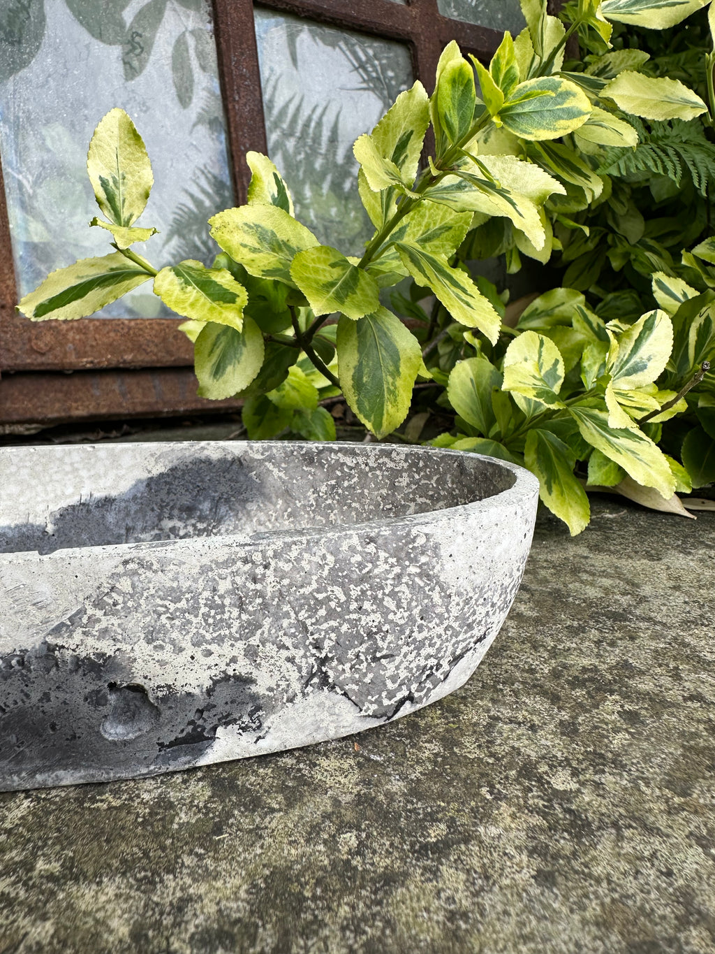 Design Schale oval aus Beton