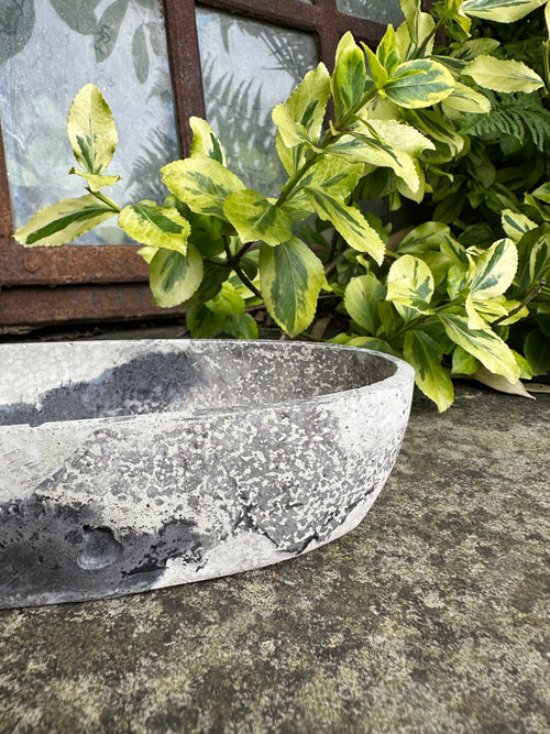 Design Schale oval aus Beton