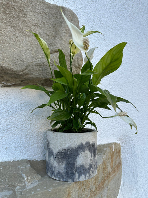 Blumentopf aus Beton