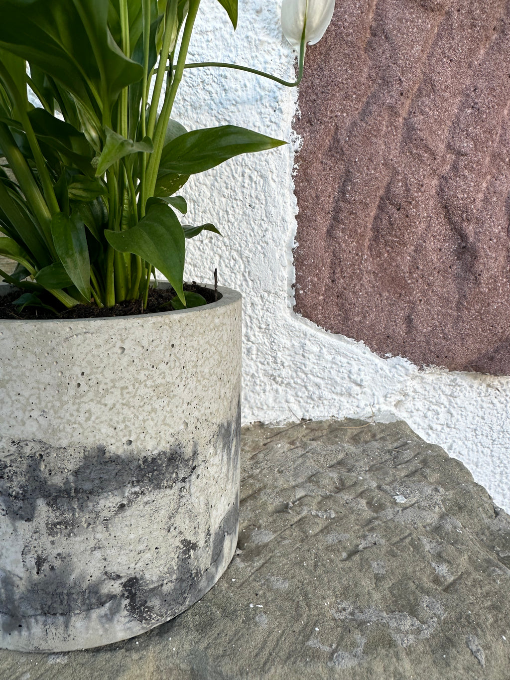 Blumentopf aus Beton