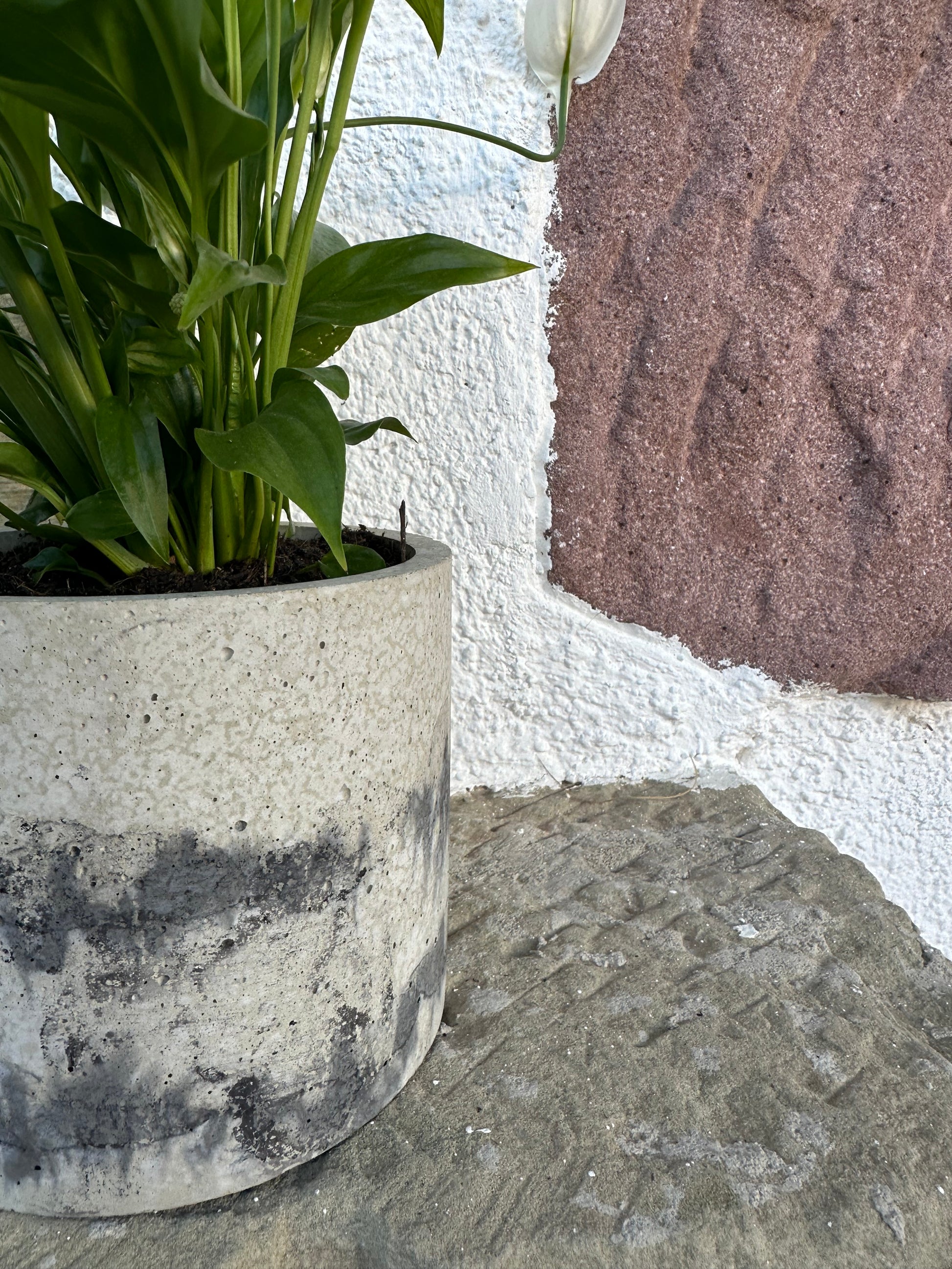 Blumentopf aus Beton